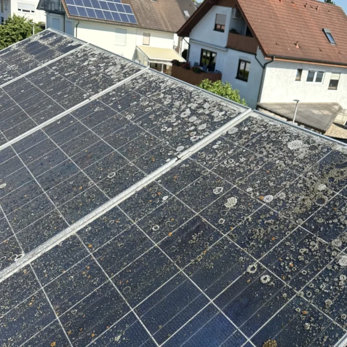 Photovoltaikreinigung vorher